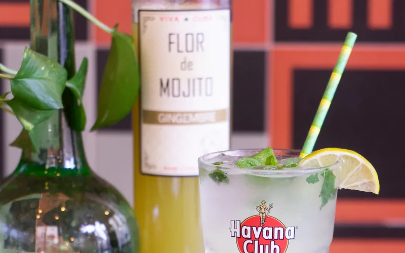 Flor de Mojito